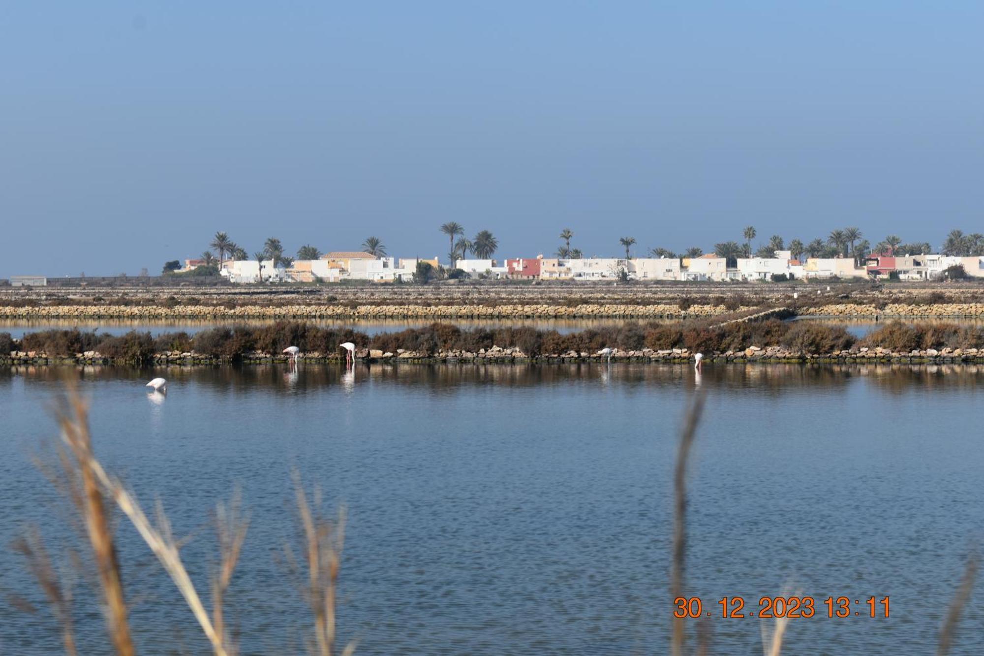 Apart Turisticos Marine Rest La Manga Mar Menor Piscinas Privadas Playa Paraiso  ภายนอก รูปภาพ