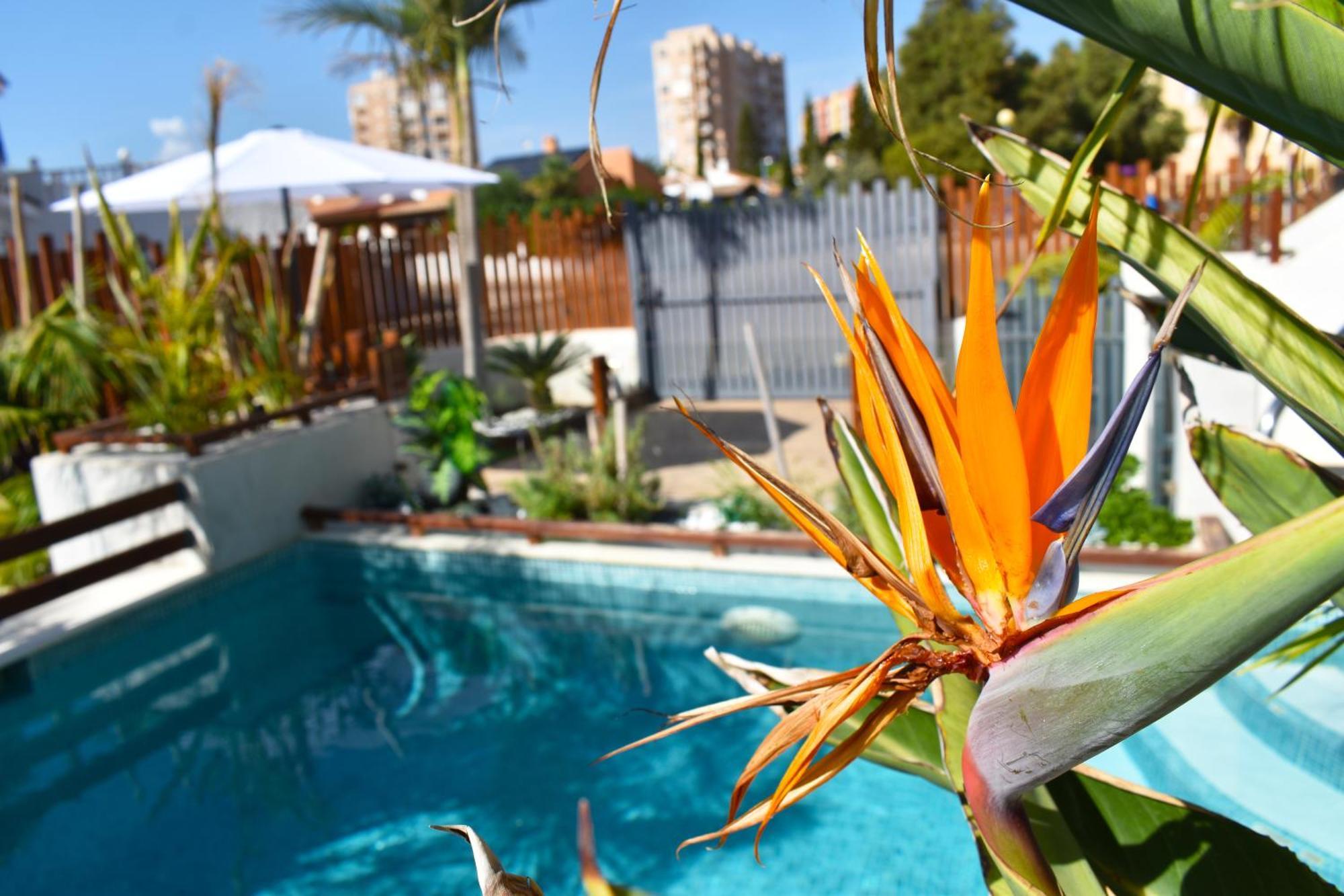 Apart Turisticos Marine Rest La Manga Mar Menor Piscinas Privadas Playa Paraiso  ภายนอก รูปภาพ